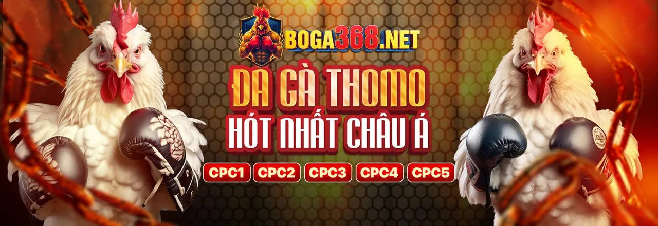 Minh họa các loại dữ liệu được bj388 nổ hũ thu thập