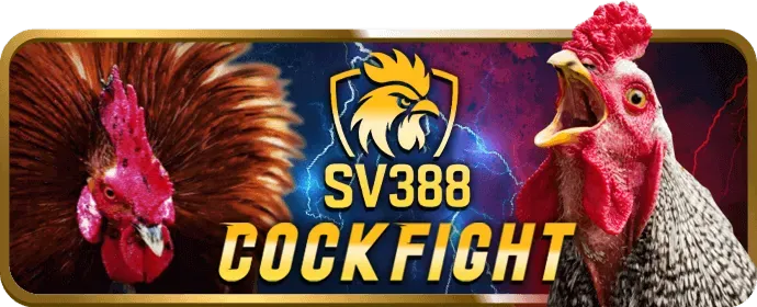 Ưu đãi và khuyến mãi BJ388 Nổ Hũ
